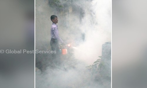 Global Pest Services - Pest Control in Sanpada, Mumbai
