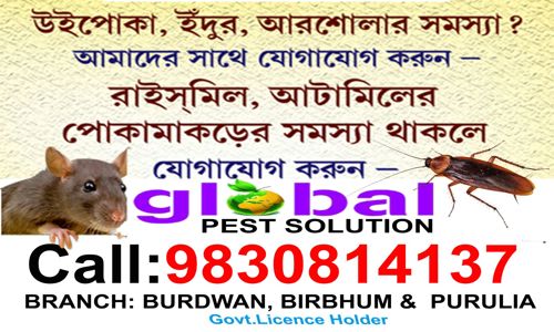 Global Pest Solution - Pest Control in Dulmi Nadiha, Purulia