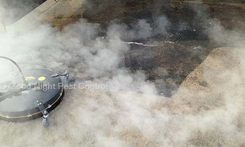 Good Night Pest Control - Pest Control in Mahatma Phule Peth, Pune