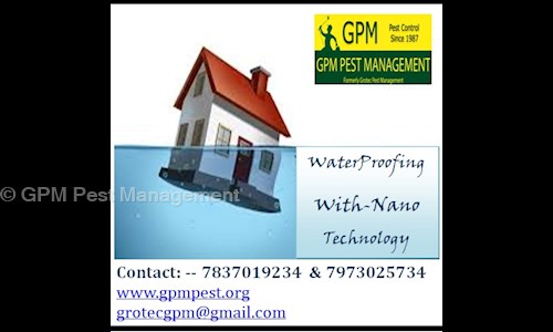 GPM Pest Management - Pest Control in Indira Colony, Pathankot
