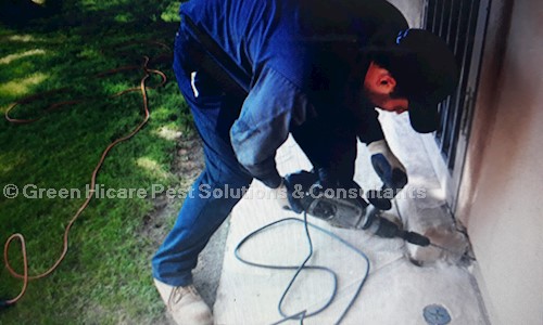 Green Hi Care pest Solution And Consultant - Pest Control in Noida Extension, Noida