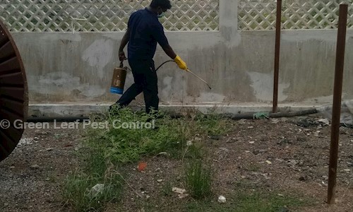 Green Leaf Pest Control - Pest Control in Alandur, Chennai