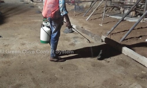Green Olive Control System - Pest Control in Yousufguda, Hyderabad