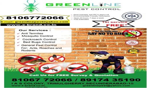 Greenline Pest Expert - Pest Control in Trimulgherry, Hyderabad