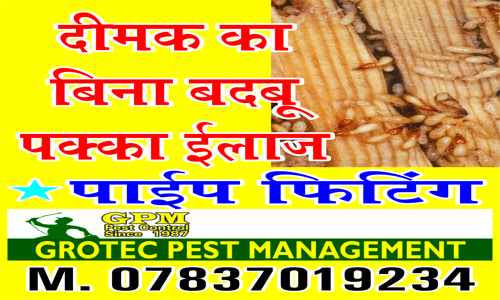 Grotec Pest Management - Pest Control in Defence Colony, Jalandhar