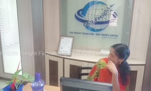 GSN Freight Forwarding India Pvt. Ltd. - Packers and Movers in Frazer Town, Bangalore