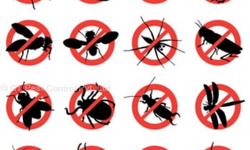GT Pest Control Pvt. Ltd. - Pest Control in Dattawadi, Pune