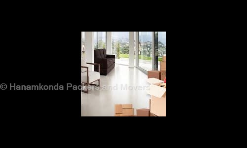 Hanamkonda Packers and Movers - Packers and Movers in Hanamkonda Road, Warangal