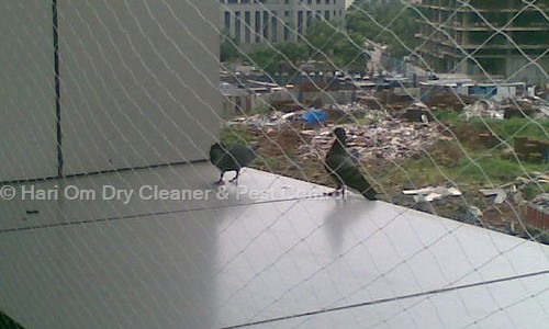 Hari Om Dry Cleaner & Pest Control - Pest Control in Mukundpur, Delhi