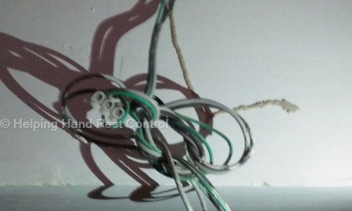 Helping Hand Pest Control - Pest Control in Vejalpur, Ahmedabad