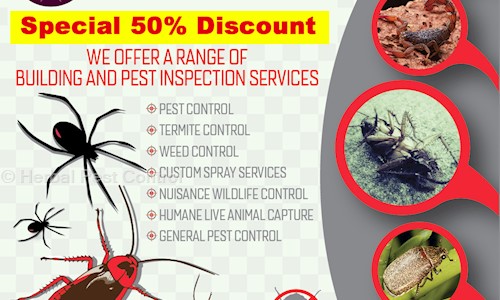 Herbal Pest Control - Pest Control in Janakpuri, Delhi