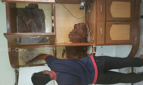 HI - Care - Pest Control in Mehdipatnam, Hyderabad