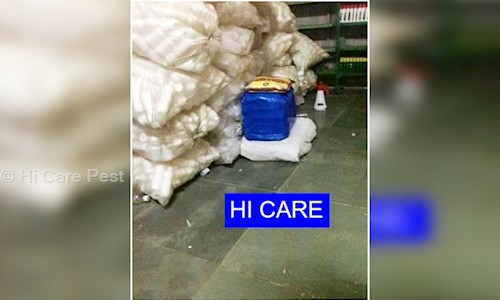 Hi Care Pest - Pest Control in Serilingampally, Hyderabad