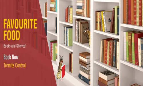Hicare Services Pvt.Ltd. - Pest Control in Saibaba Colony, Coimbatore
