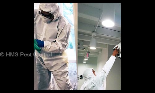 HMS Pest Control - Pest Control in Chandapura, Bangalore