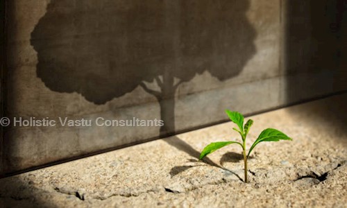 Holistic Vastu Consultants - Interior Designers & Decorators in SAS Nagar, Mohali