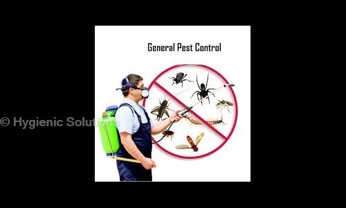Hygienic Solutions - Pest Control in Ashok Nagar, Chennai