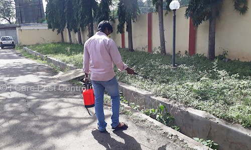 I Care Pest Control - Pest Control in Saraswathipuram, Mysore