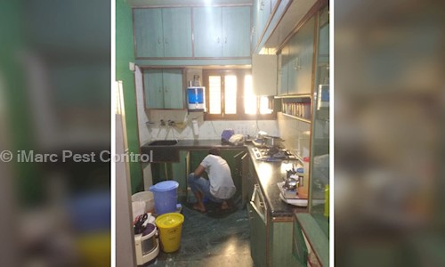 iMarc Pest Control - Pest Control in HSR Layout, Bangalore