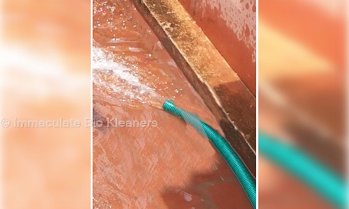 Immaculate Bio Kleaners - Pest Control in BTM Layout, Bangalore