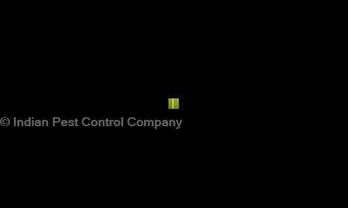 Indian Pest Control Company - Pest Control in Nehru Place, Delhi