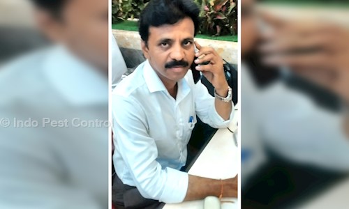 Indo Pest Control - Pest Control in Mazgaon, Mumbai