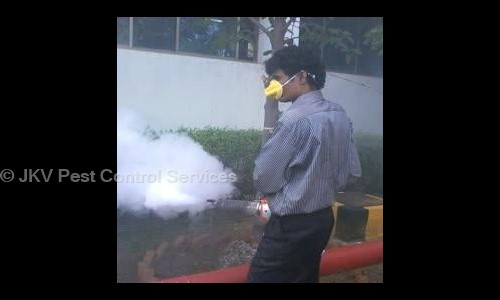 JKV Pest Control Services - Pest Control in Tiruvottiyur, Chennai