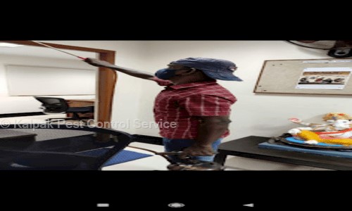 Kalpak Pest Control Service - Pest Control in Arumbakkam, Chennai