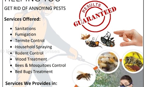 Karnataka Enterprises  - Pest Control in RT Nagar, Bangalore