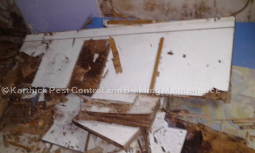 Karthick Pest Control and Building Maintenance - Pest Control in Old Pallavaram, Chennai