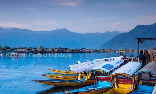 Kashmir Perfect Holidays - Packers and Movers in Zakura, Srinagar