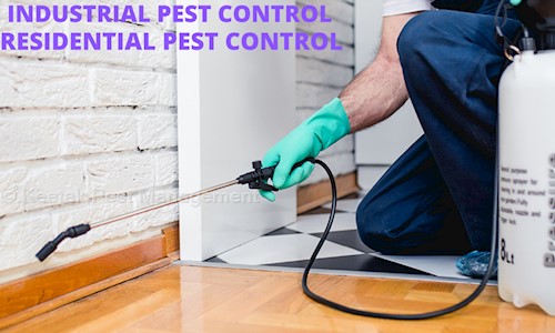 Keetak Pest Management - Pest Control in Bopal, Ahmedabad