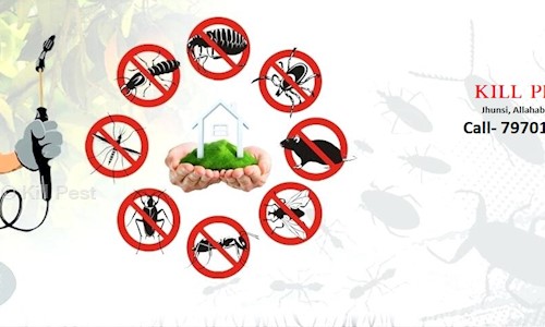 Kill Pest - Pest Control in Jhunsi, Allahabad