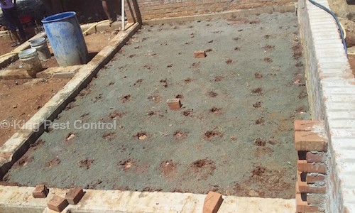 King Pest Control - Pest Control in Alagapuram, Salem