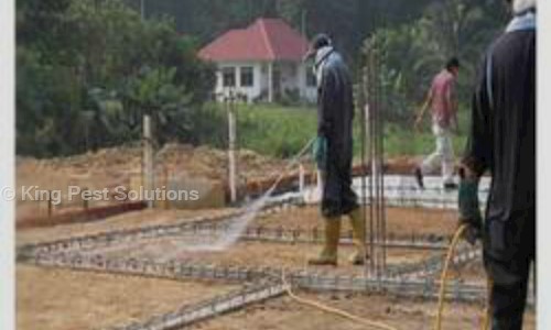 King Pest Solutions - Pest Control in Berasia Road, Bhopal