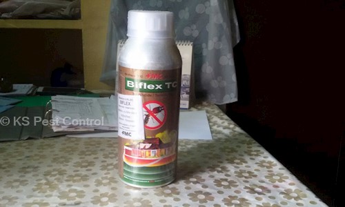 KS Pest Control - Pest Control in Nallakunta, Hyderabad