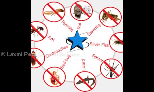Laxmi Pest Control Service - Pest Control in Vigyan Nagar, Kota