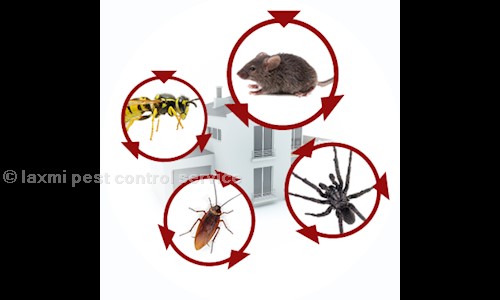 laxmi pest control service - Pest Control in Durgapura, Jaipur