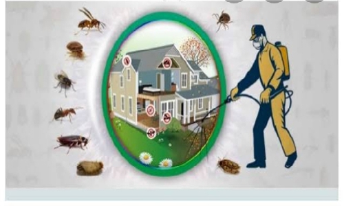 Laxmi pest control service - Pest Control in Kareli, Allahabad