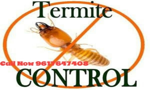 Laxmi  Pest Control Service - Pest Control in Jabalpur City, Jabalpur