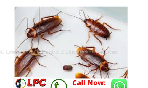 Lifecycle Pest Control - Pest Control in Balewadi, Pune