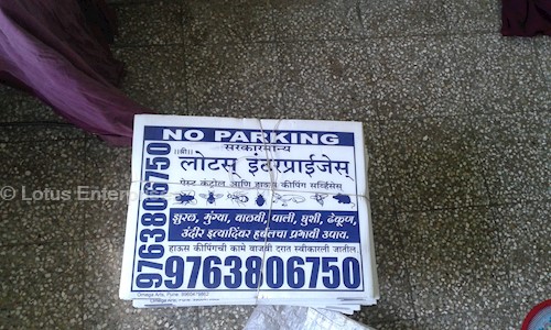 Lotus Enterprises - Pest Control & Housekeeping Service - Pest Control in Kothrud, Pune