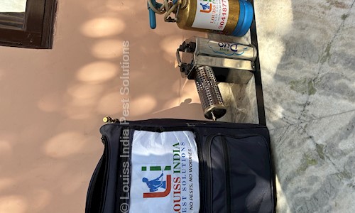 Louiss India Pest Solutions - Pest Control in Narela, Delhi