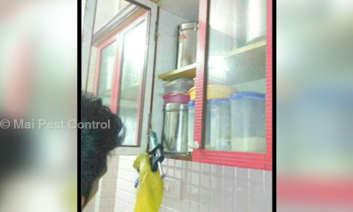 Mai Pest Control - Pest Control in Grant Road, Mumbai
