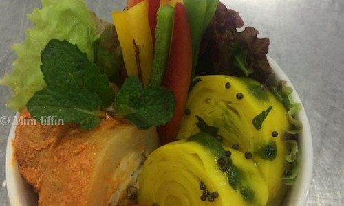 Mini tiffin - Catering Services in Hari Nagar, Delhi