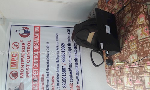 Monteverde Pest Control - Pest Control in Khardah, Kolkata
