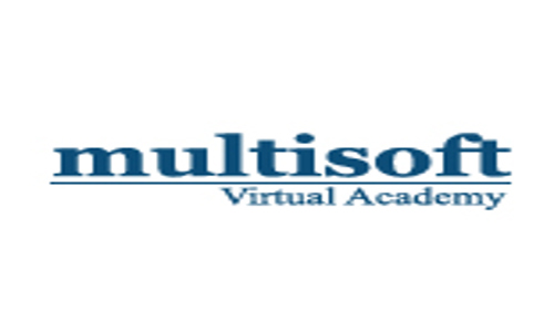 Multisoft Virtual Academy - Job Training in Sector 2, Noida