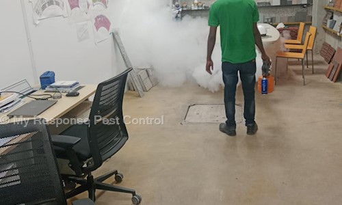 My Response Pest Control - Pest Control in Walajabad, Kanchipuram