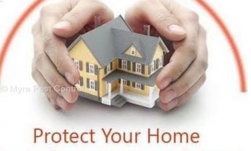 Myra Pest Control - Pest Control in Hayath Nagar, Hyderabad