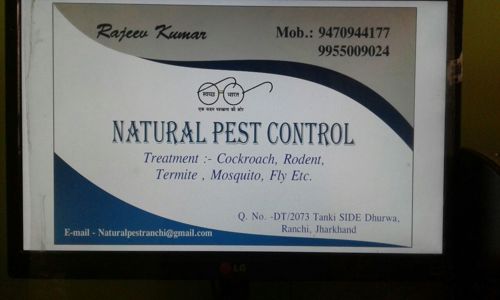 Natural Pest control - Pest Control in Dhurwa, Ranchi